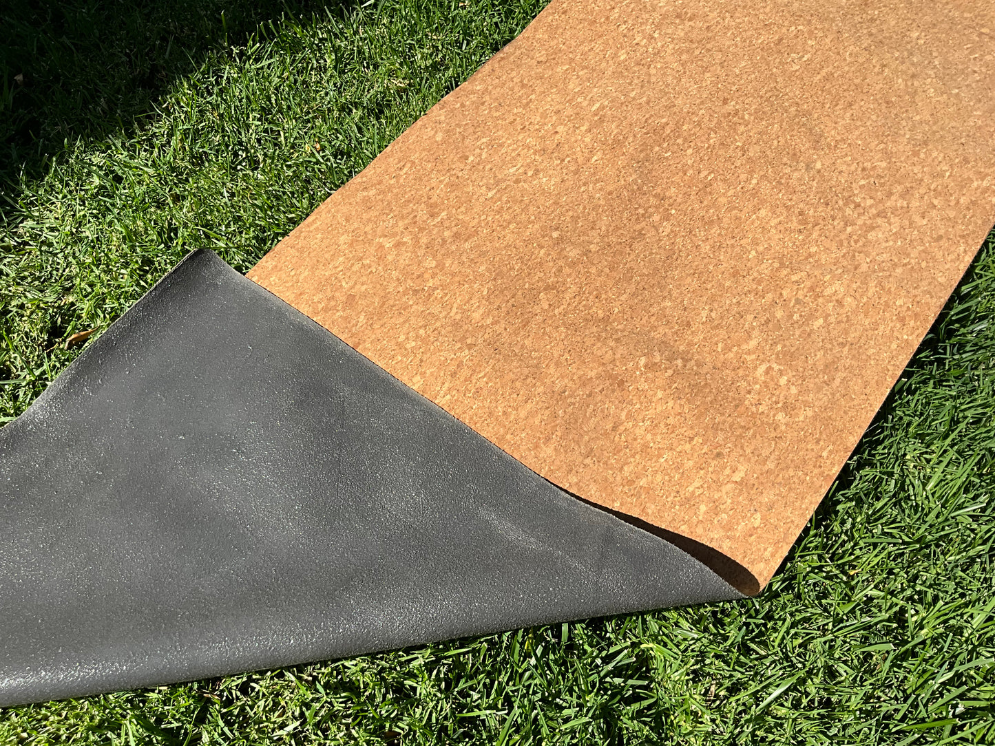 Oe Magnetic Grounding Cork Yoga Mat