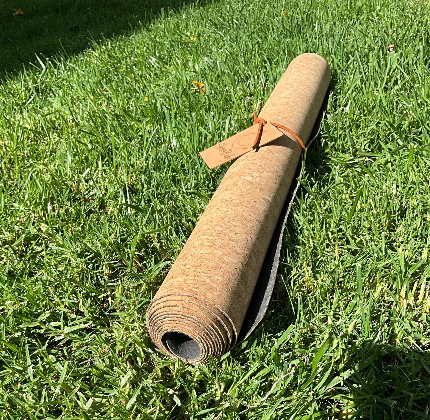 Oe Magnetic Grounding Cork Yoga Mat