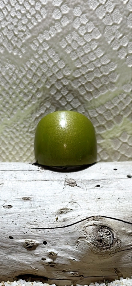MAGNETIC COPPER DOME RING - SPARKLE LIME